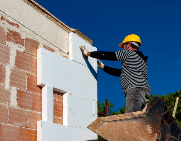 Best Cellulose Insulation in Muleshoe, TX