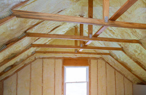 Best Residential Insulation in Muleshoe, TX