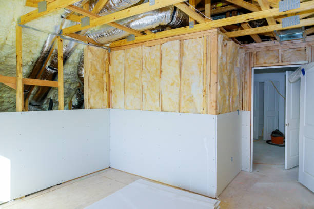 Best Commercial Insulation in Muleshoe, TX