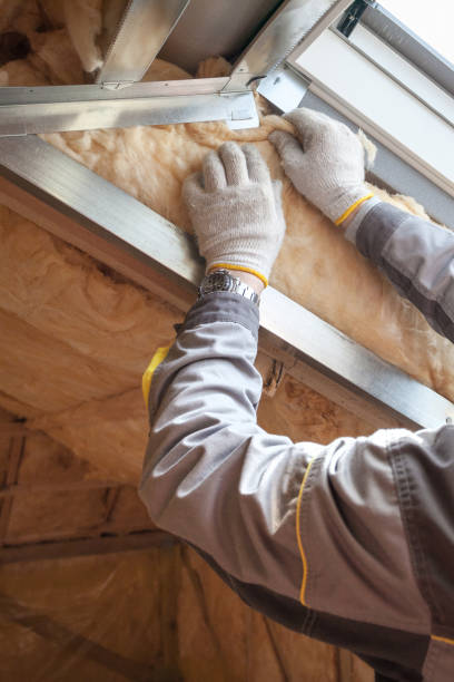 Best Fiberglass Insulation in Muleshoe, TX