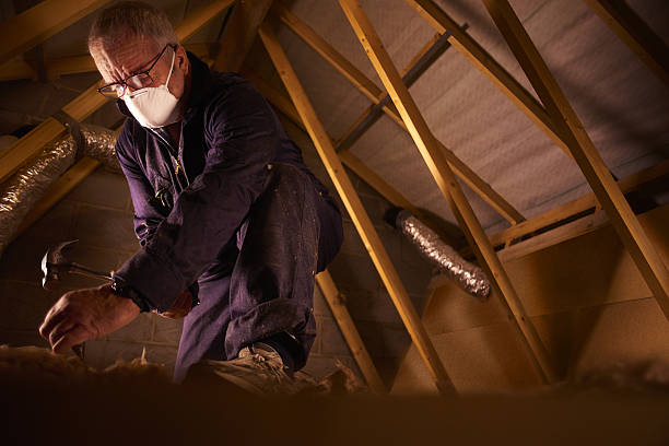 Types of Insulation We Offer in Muleshoe, TX